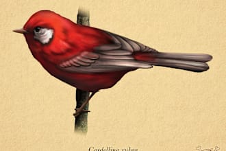 a digital, scientific illustration of any animal or plant