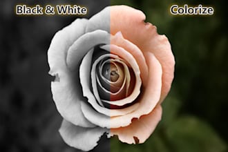 colorize black and white photos color correct