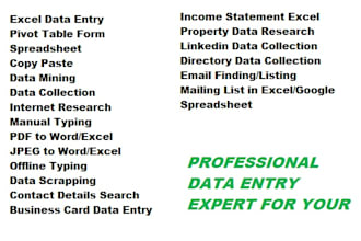 accurate excel data entry  with fast turnaround