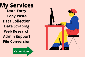 do professional data entry and admin support work