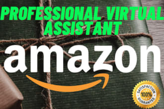 be professional virtual assistant of amazon