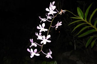provide some photo shots of natural environment