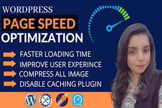 do page speed optimization and speed up wordpress website