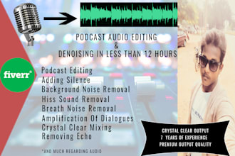 edit dialogue and your audio podcast in 12 hrs