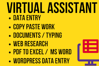 do data entry in 24 hours and fast and accurate data entry