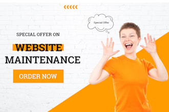 provide website maintenance and support
