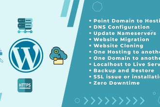 point dns,backup,clone,migrate wordpress website to new hosting or domain