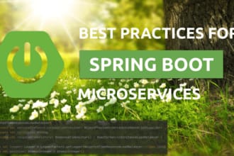 do java web springboot microservice application