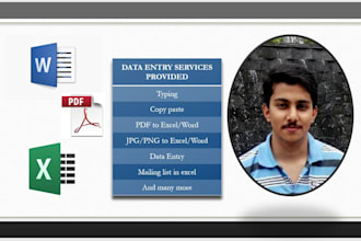 provide data entry services in word and excel