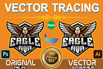do vector tracing convert raster to vector, image to vector