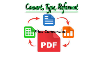 convert PDF to excel, PDF to word, or data entry