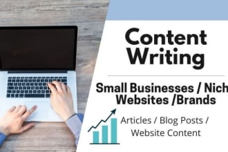 write your small business blogs and niche website articles