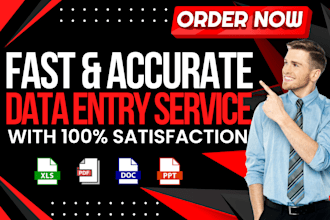 do fast and accurate data entry, web research, excel data entry, typing work