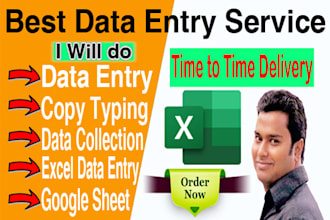 do data entry, copy data from website in excel sheet