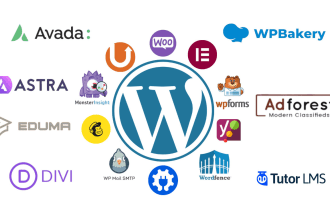 install, configure, customize any wordpress theme, plugin or complete website