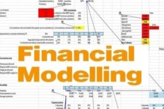 provide the best financial models and solutions