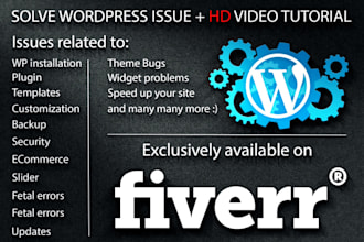 help u in any wordpress issue