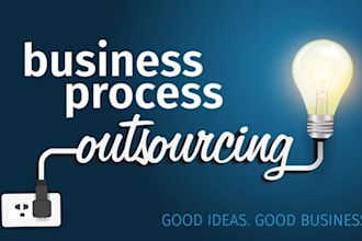 provide you services for data entry and virtual assistance