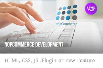 fix or customize your nopcommerce site