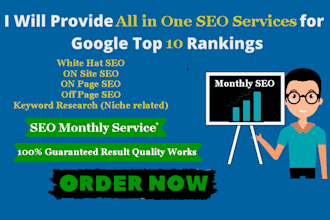 provide you all in one monthly SEO services