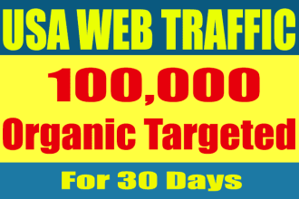 provide organic USA web traffic for 30 days