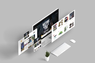 create ecommerce shopify online store, dropshipping store, shopify websit
