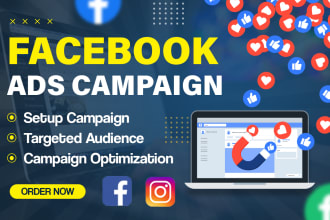 setup facebook and instagram ads campaign for sales and leads, shopify ads