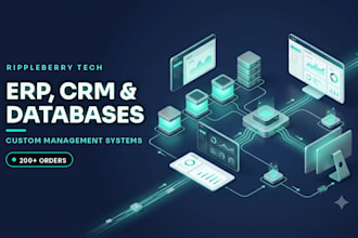 develop a custom erp, CRM or database management system