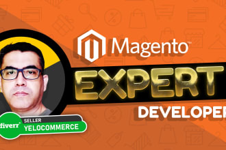 be your expert magento developer