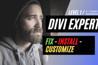 customize, fix or install divi