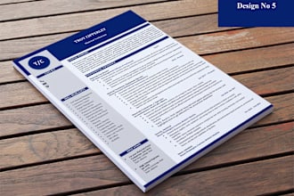 provide professional resume writing, CV writing, cl writing service