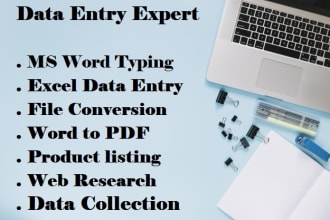 do data entry and copy typing in excel, word, and powerpoint