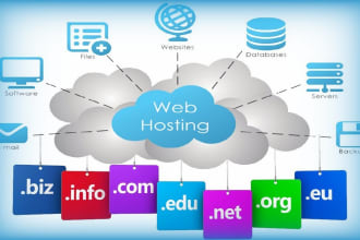 help you in web hosting and IT support