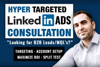 consult on setting up hyper targetted linkedin ads for b2b lead generation