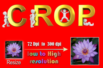 convert, crop, resize high resolution images for social media, webp for website
