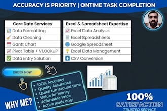 do accurate data entry with 24h delivery guaranteed