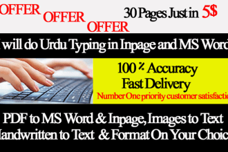 do professional urdu and english typing