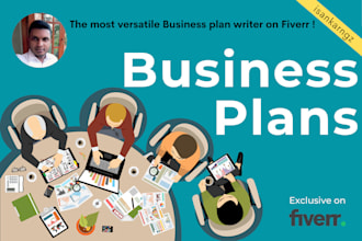 write professional investor ready business plans proposals