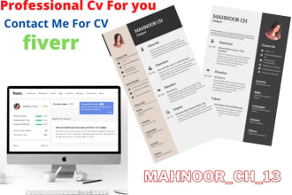 provide professional CV, resume, promotion letter services