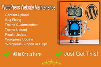do wordpress maintenance, update, wordpress support or help