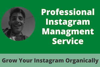 do instagram promotion or marketing for fast organic growth