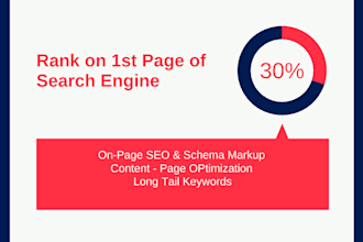 do on page optimization with schema markup n images alt tags