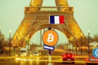 do forex promotion, crypto currency, ico bitcoin