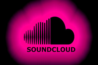 do soundcloud music promotion professionally and organiclly