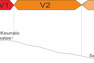 create 2d or 3d geological model
