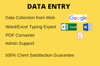 do expert data entry