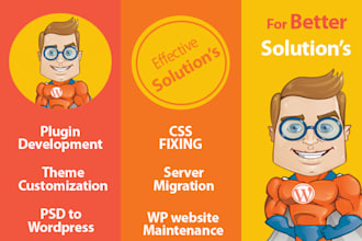 solve, fix, and maintain your wp website