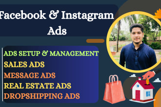 run facebook ads and instagram ads for real estate lead and shopify online sales