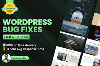 fix wordpress errors, bugs and speed up your slow website