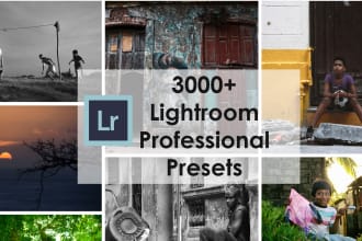 deliver 3000  lightroom presets templates